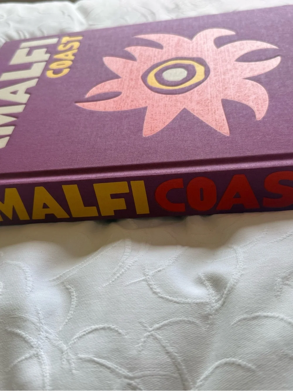 Assouline Amalfi Coast Hardcover Coffee Table Book Carlos Souza Luxe Decor